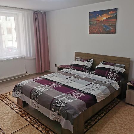 Apartament Bucovina Apartment Câmpulung Moldovenesc Екстериор снимка