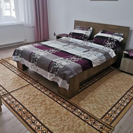 Apartament Bucovina Apartment Câmpulung Moldovenesc Екстериор снимка