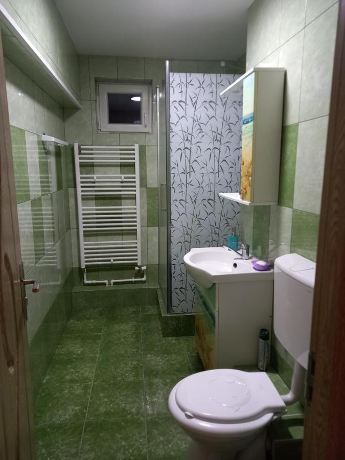 Apartament Bucovina Apartment Câmpulung Moldovenesc Екстериор снимка