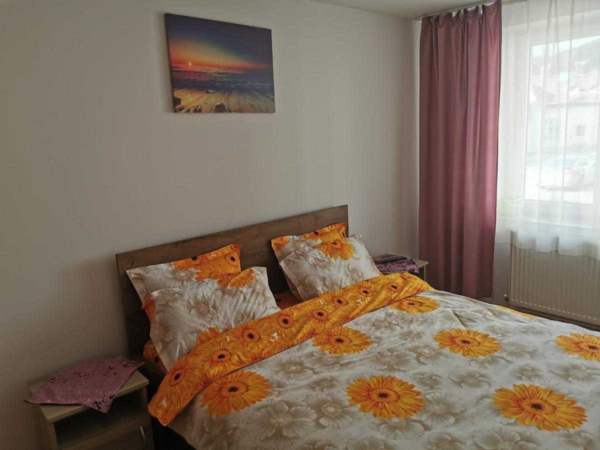 Apartament Bucovina Apartment Câmpulung Moldovenesc Екстериор снимка