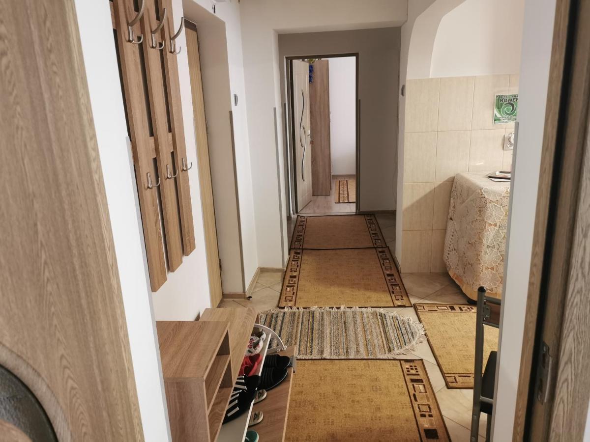 Apartament Bucovina Apartment Câmpulung Moldovenesc Екстериор снимка